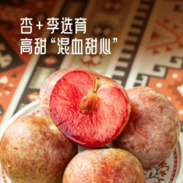 阿克苏限定恐龙蛋杏李｜天山雪水养出的混血鲜果，一年仅尝 60 天-阿克苏华丰果业